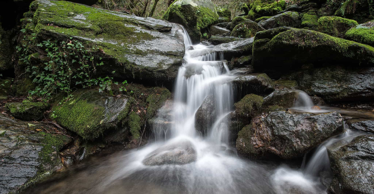 Cascada
