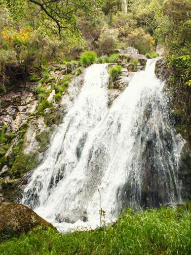 Experiencia cascada