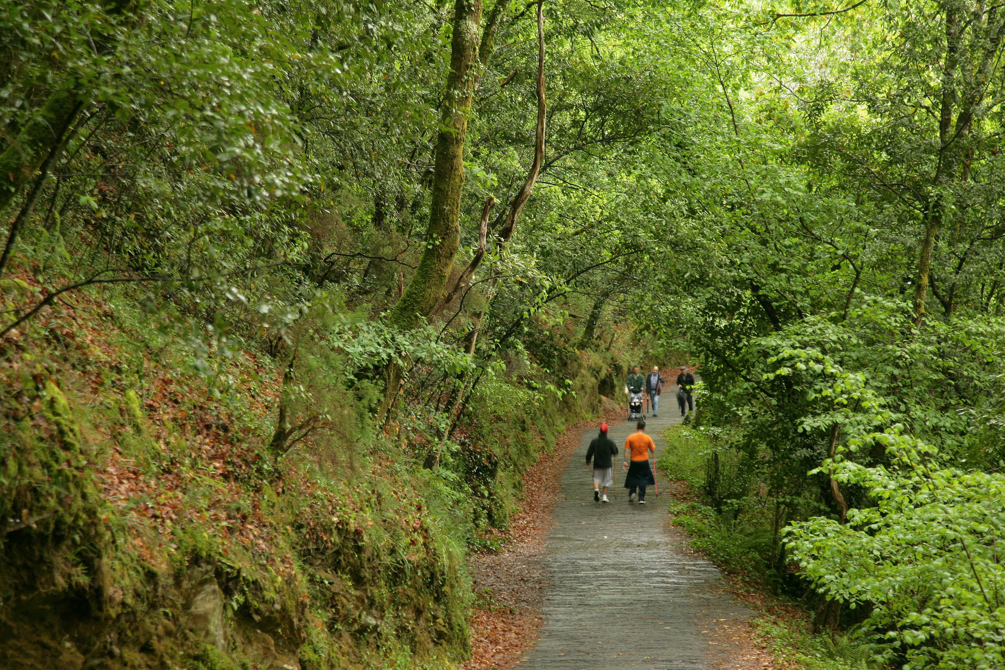 Gente caminando por un sendero