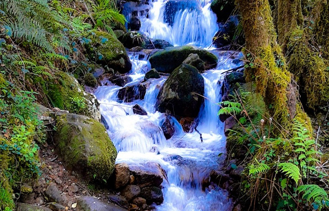 Cascada