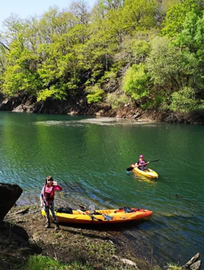 Kayak