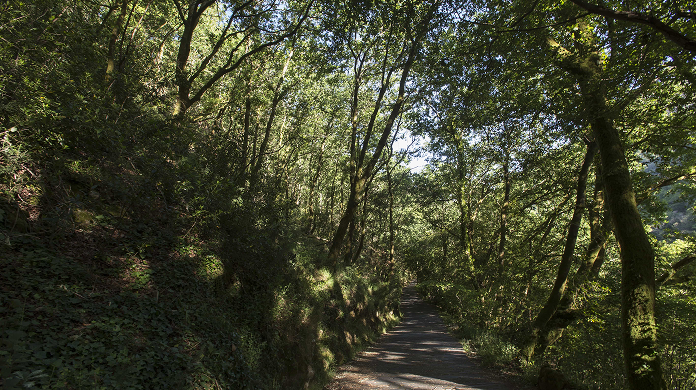 Parque las fragas