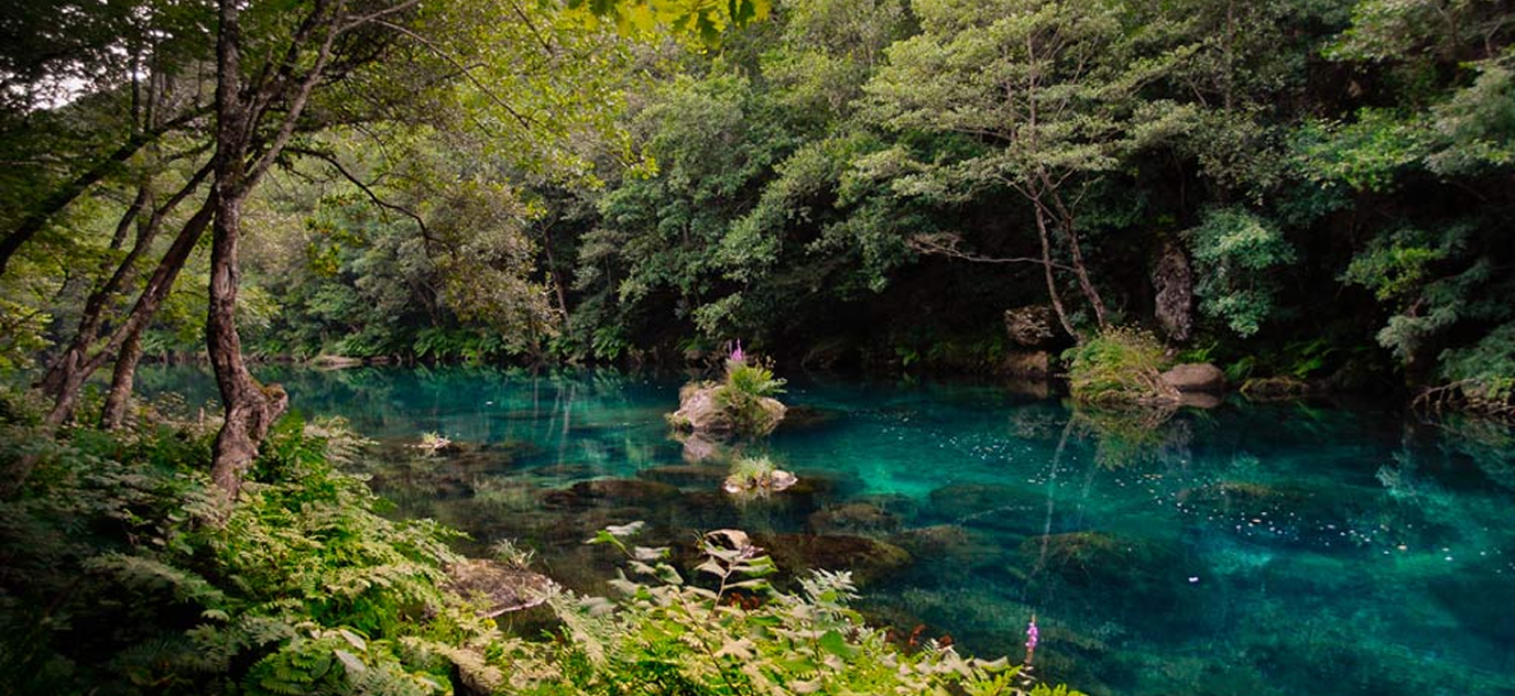 Parque las fragas