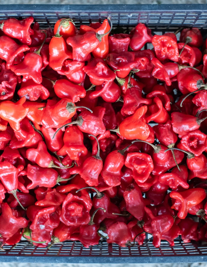 Pimientos en el Mercado Municipal de Pontedeume