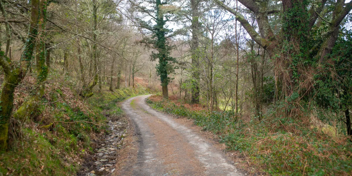 Ruta Mirador Carbueira