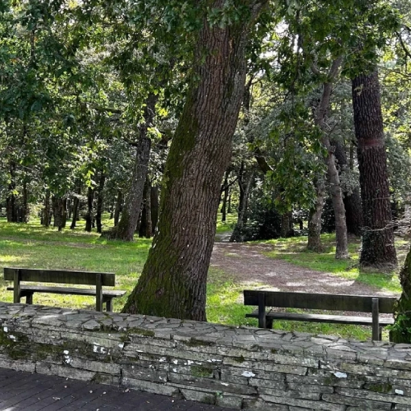 Área recreativa Parque del Eume