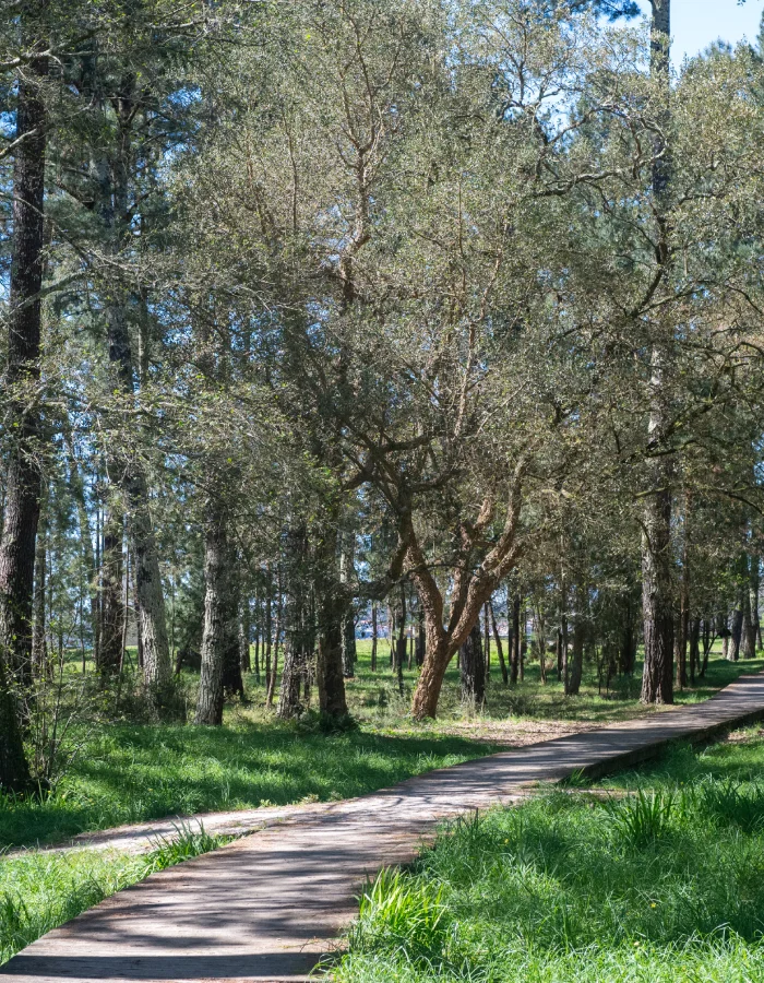 Sendero en el área recreativa de Cabanas
