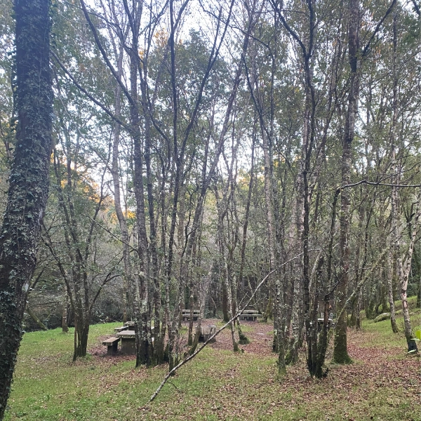 Area recreativa de Formariz