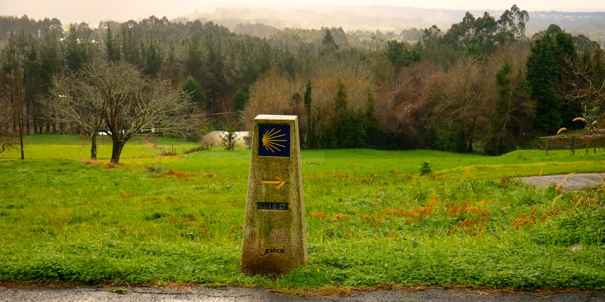 Camino de Santiago