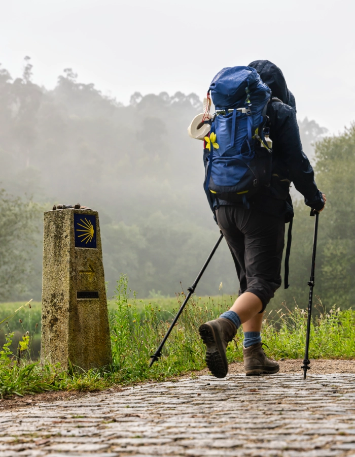 Camino de Santiago