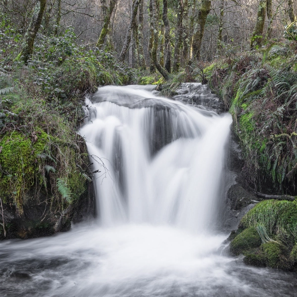 Cascadas de Somede