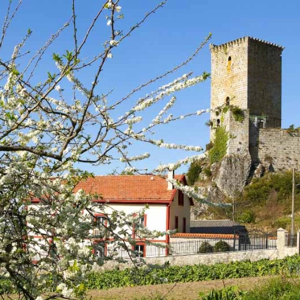 Castillo de los Andrade en primavera
