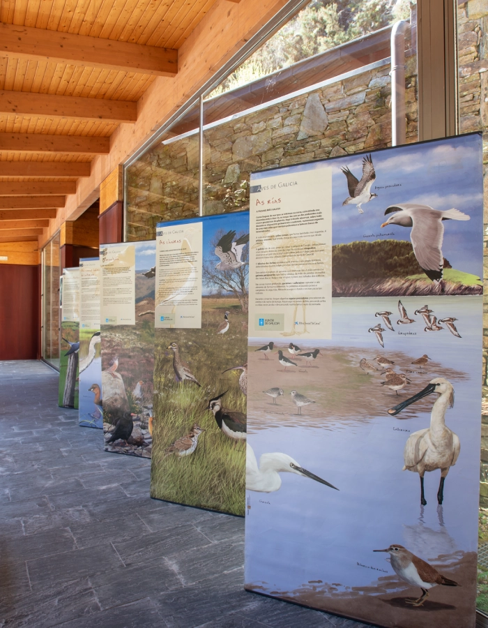 Centro de Interpretación de las Fragas del Eume