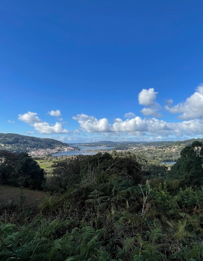 Mirador de Cabria