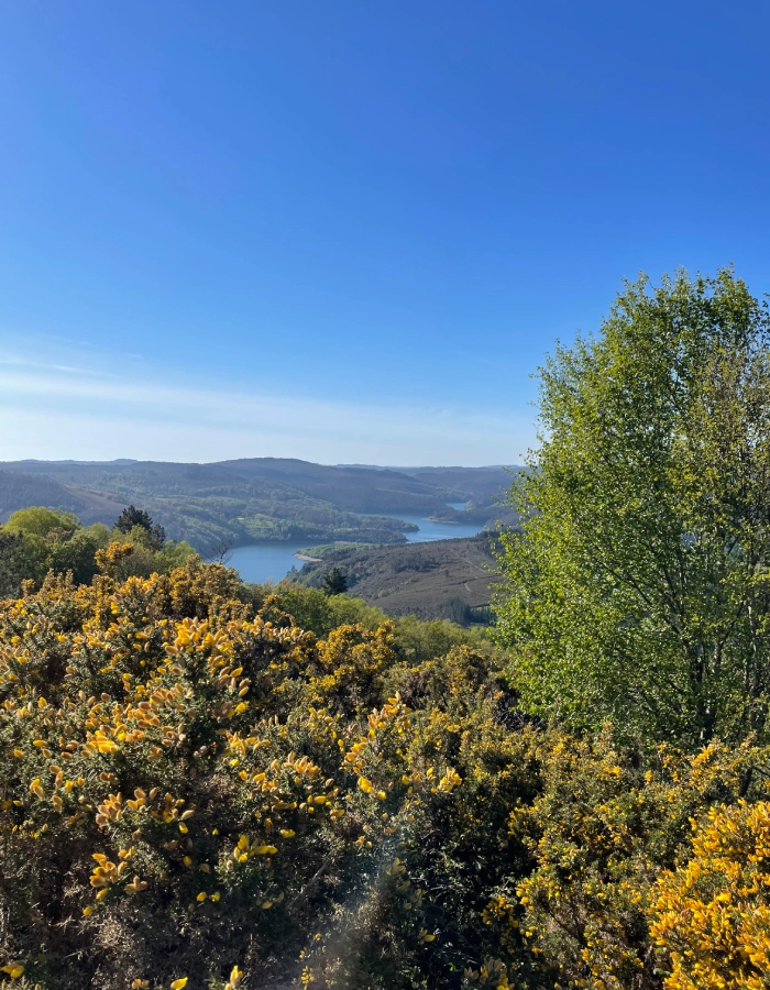 Mirador de Carbueira