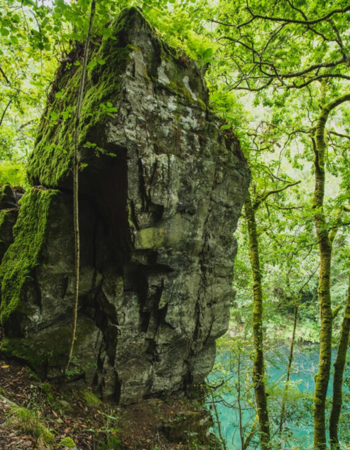 Naturaleza