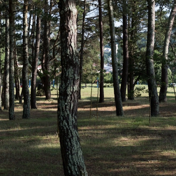 Pinar de la Madalena