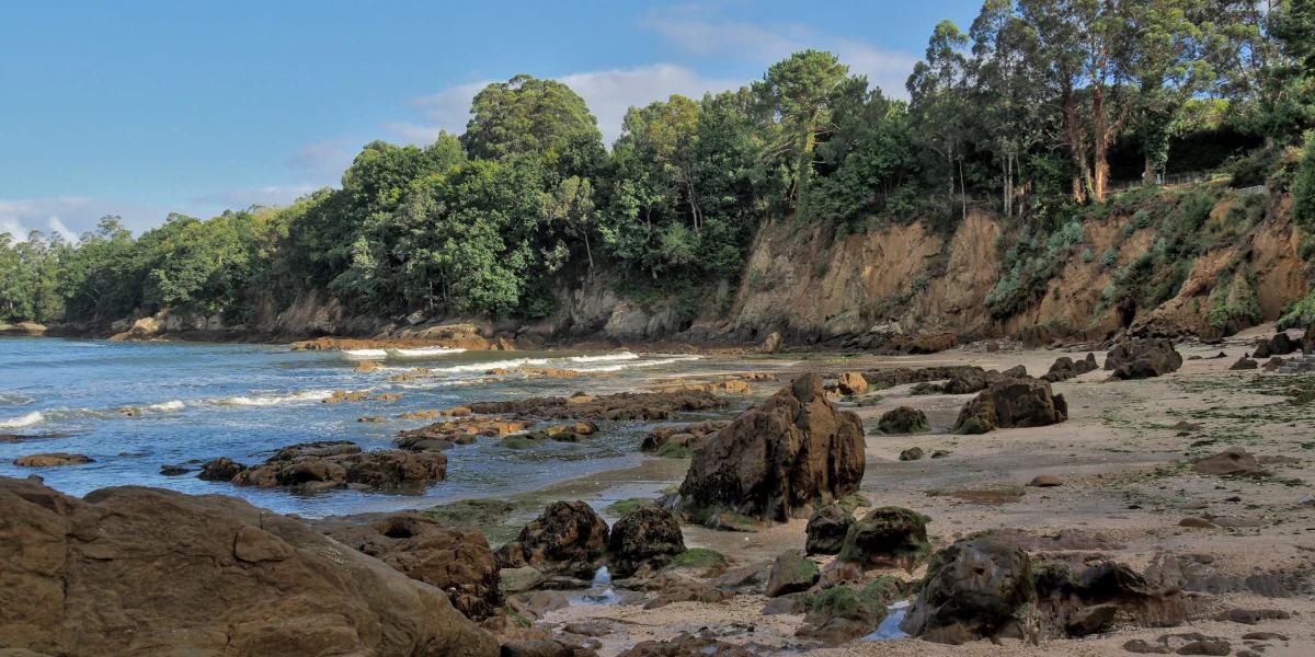 Playa de Chamoso
