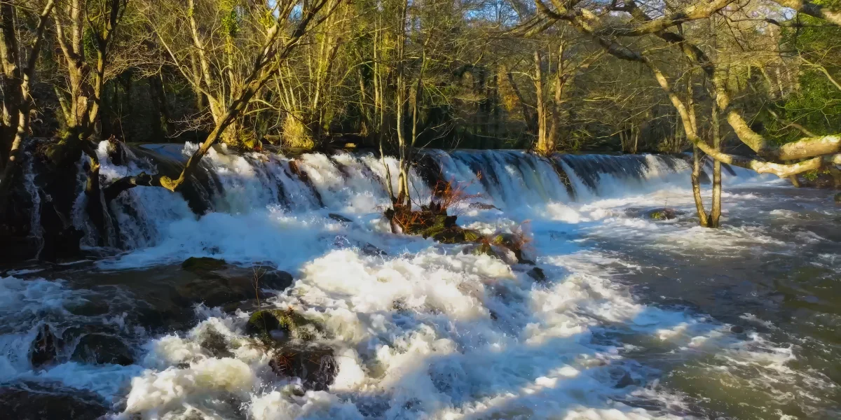 Salto de agua