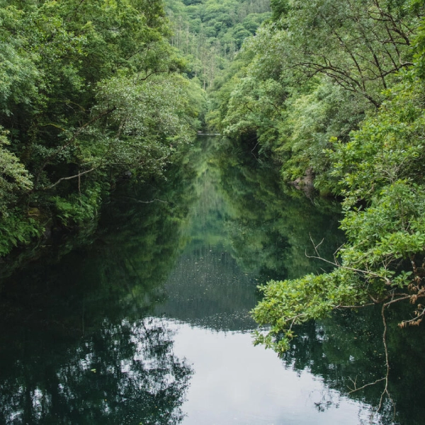 Río Eume