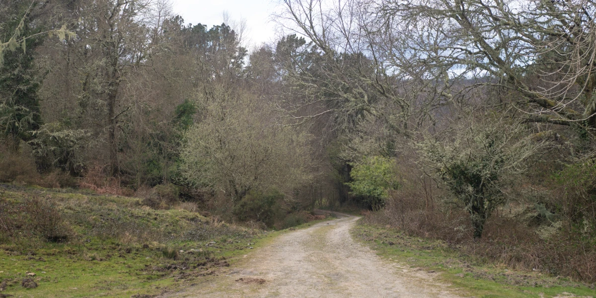 Ruta al Mirador de Carbueira