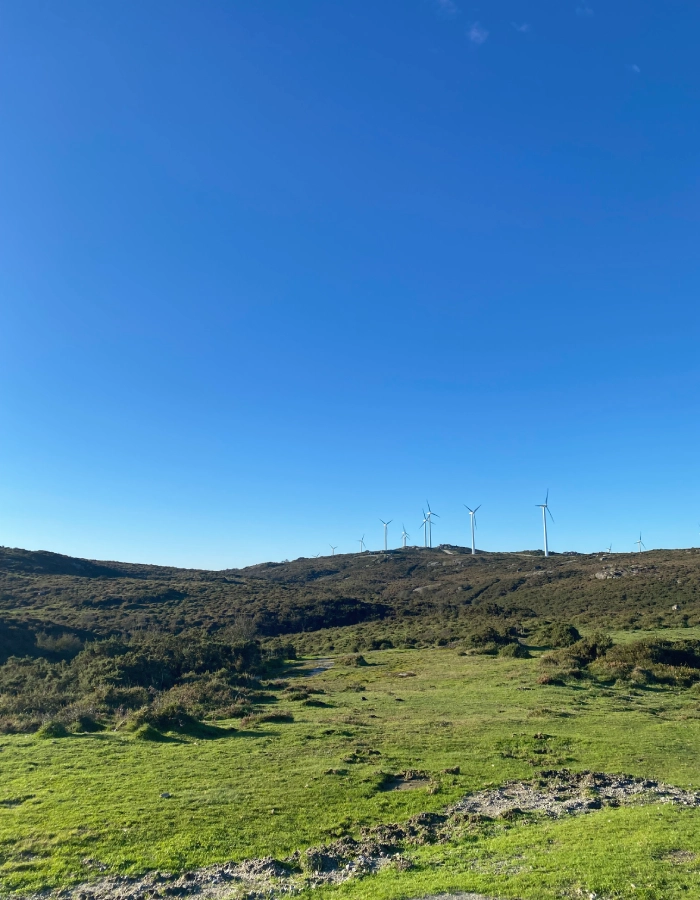 Serra de Forgoselo