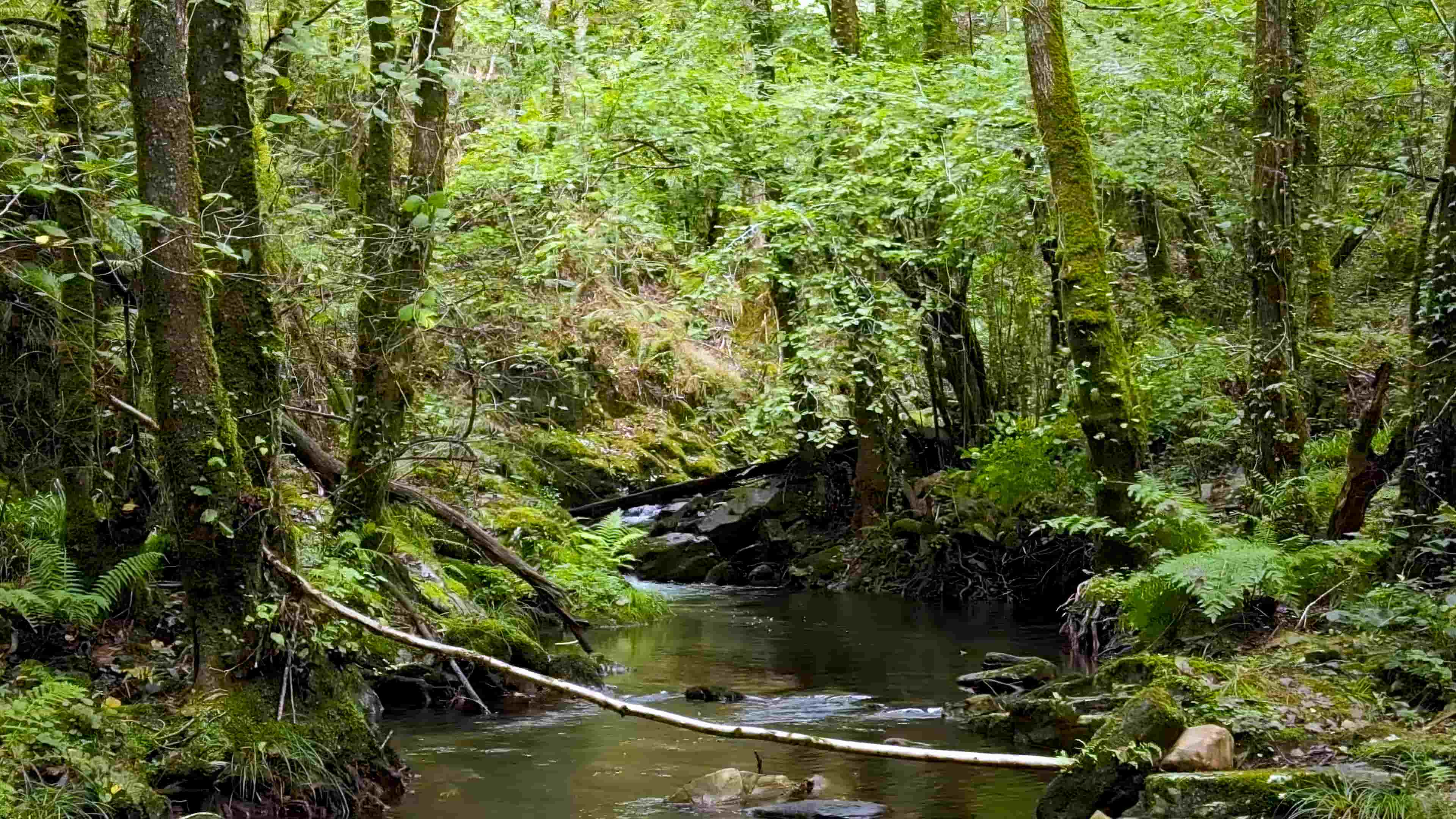 Ruta Máis alá dos Eidos