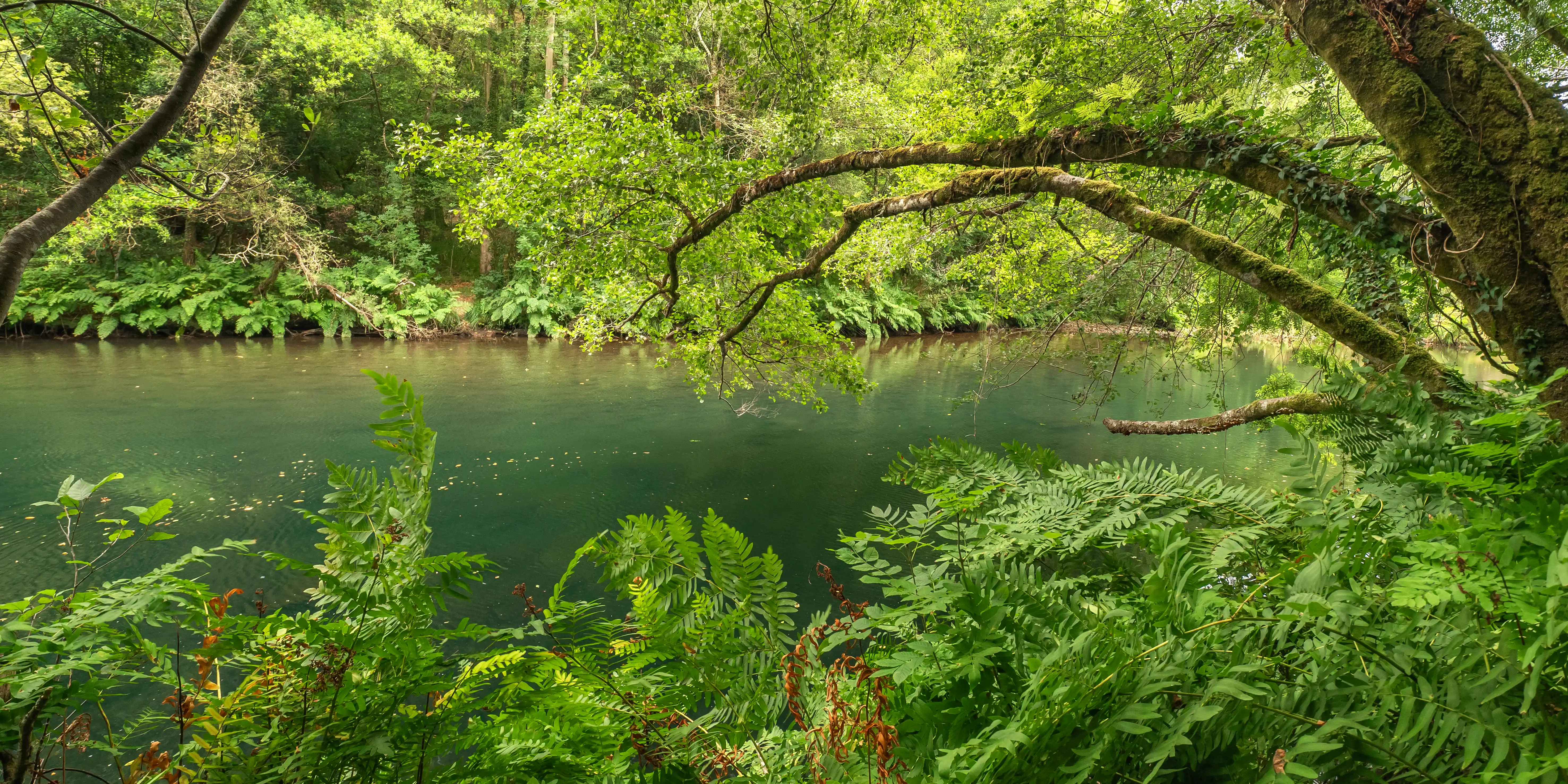 Río Eume en el Parque Natural de las Fragas del Eume