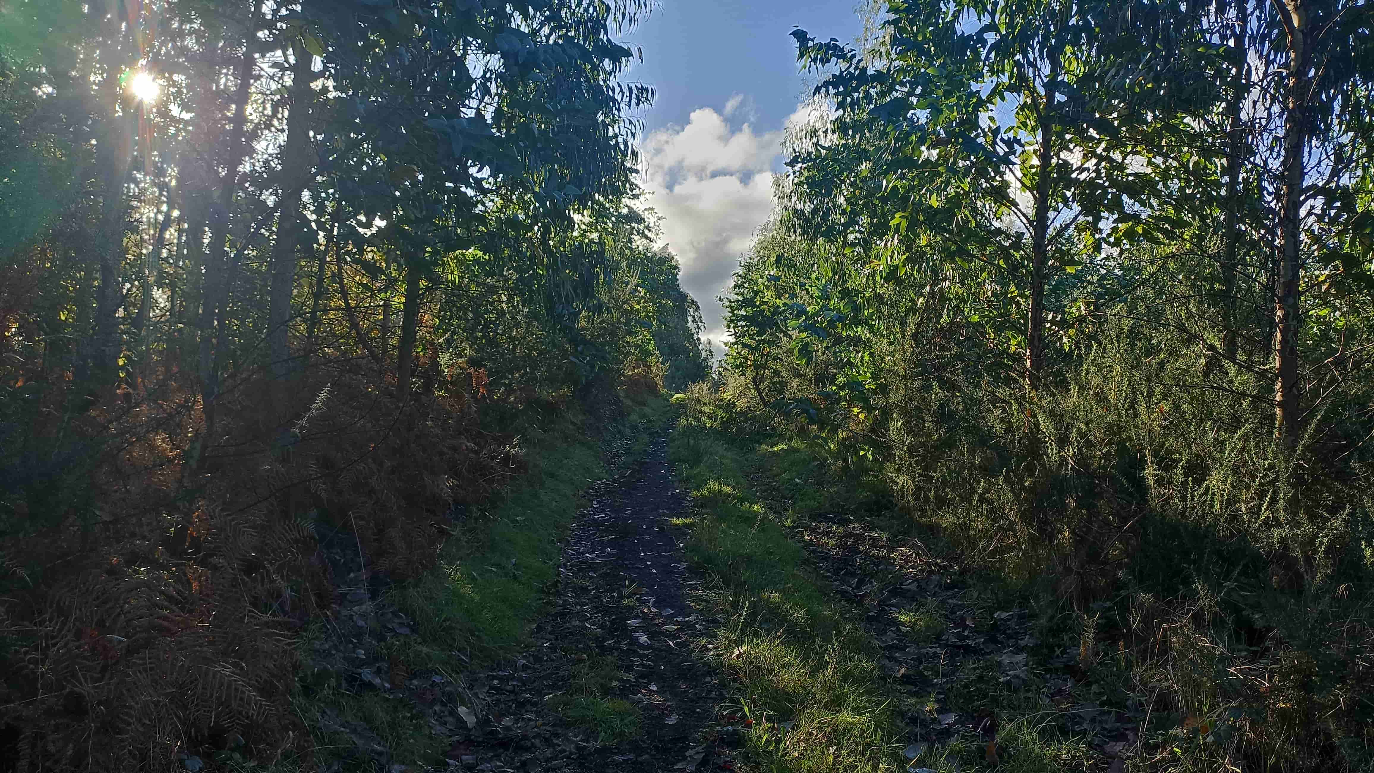 Ruta de Cabanas a Pico Castro