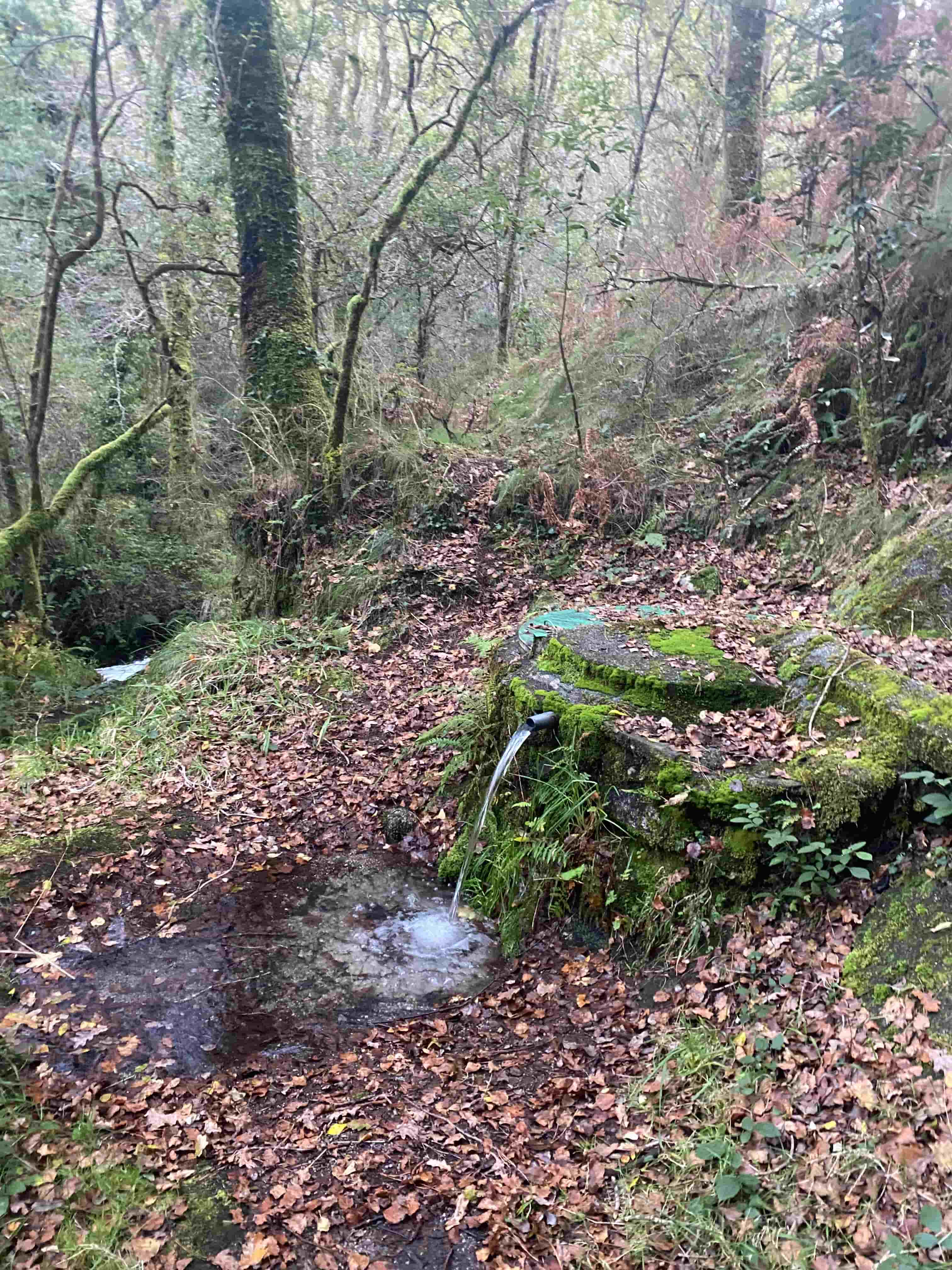 Ruta da Cernada