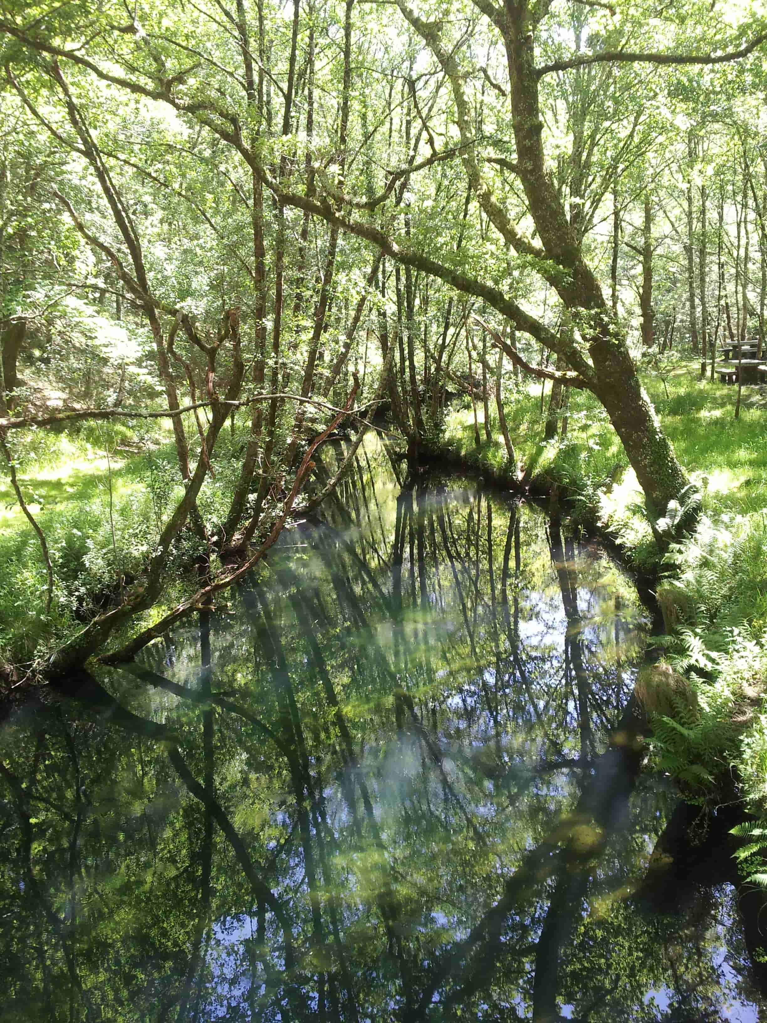 Ruta del Río Cuberto
