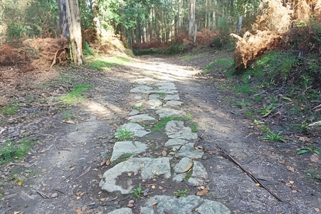 Ruta peatonal a la Ermita de San Miguel de Breamo