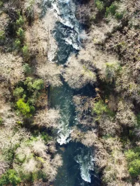 Río Eume en invierno