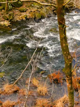 Rio en otoño