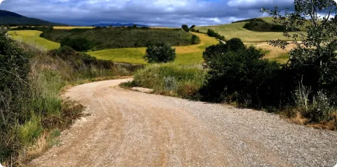 Camino de Santiago
