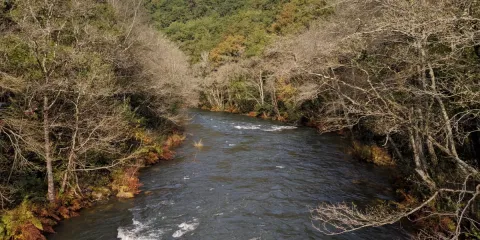 Río en las Fragas do Eume
