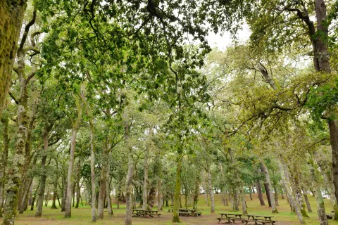 Ruta de Fraga