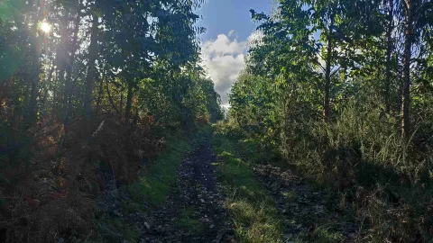 Ruta de Cabanas a Pico Castro
