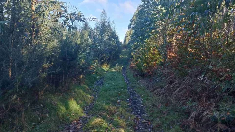 Ruta de Cabanas a Pico Castro