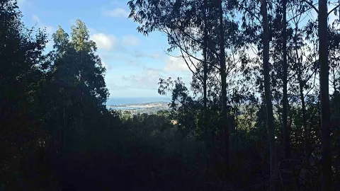 Ruta de Cabanas a Pico Castro