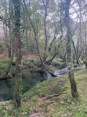 Ruta del Río Cuberto
