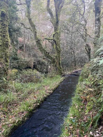 Ruta del Río Cuberto