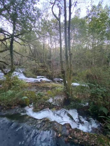 Ruta del Río Cuberto