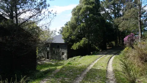 Ruta de las Fragas da Ribeira e do Lostegal