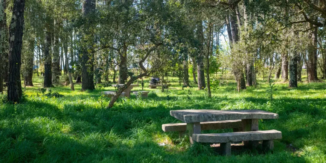 Mesa en el área recreativa de Cabanas