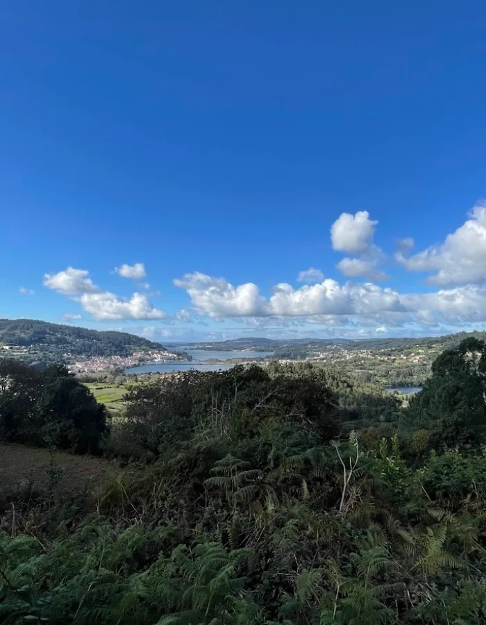 Mirador de Cabria