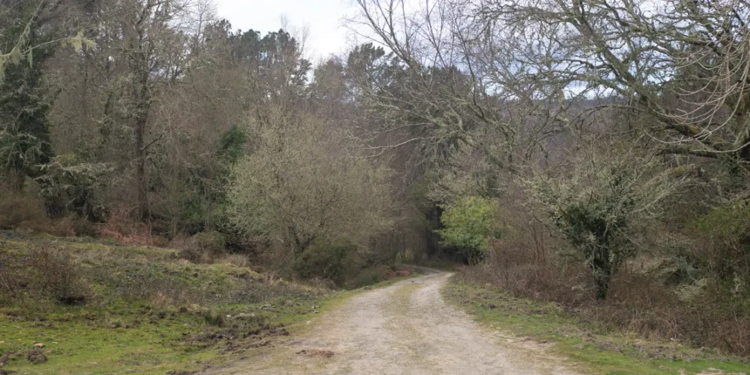 Ruta al Mirador de Carbueira
