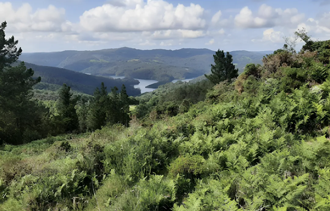 Ruta Camino de los Corzos